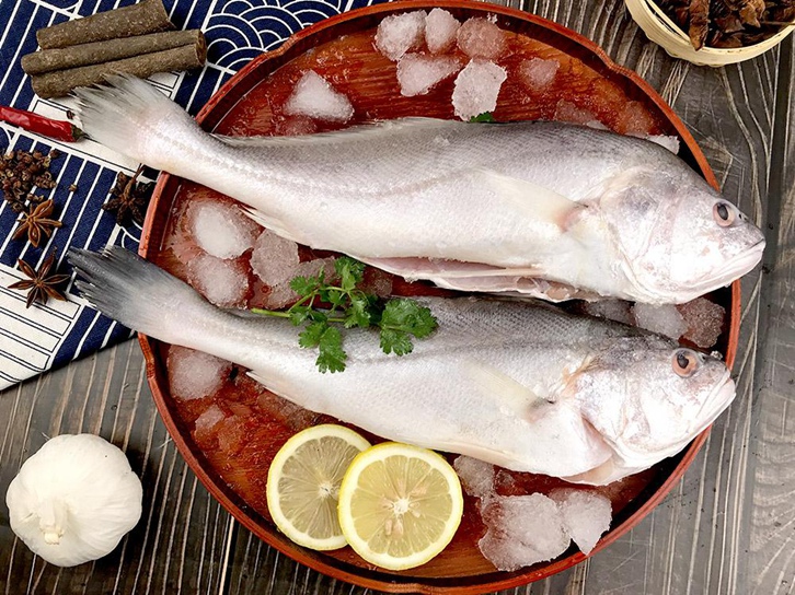 印度叫姑魚進口報關流程 印度叫姑魚進口報關流程