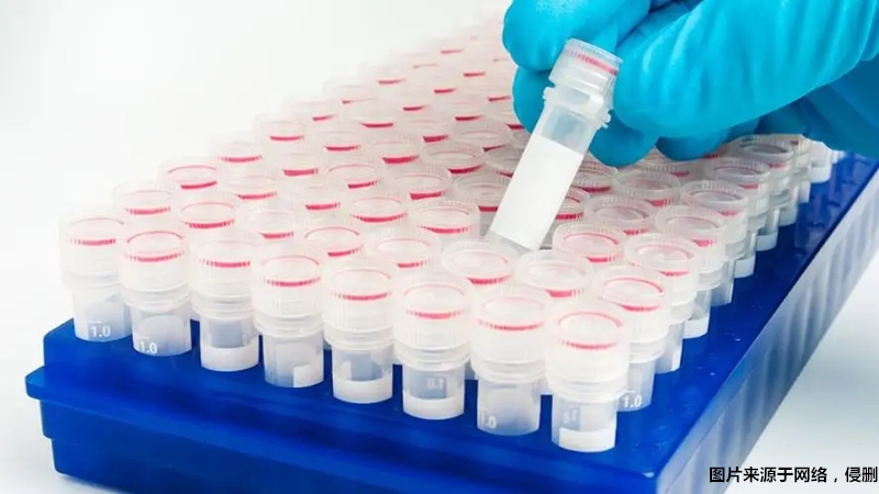 1680177558846879.jpg 上海進口生物試劑報關流程.jpg