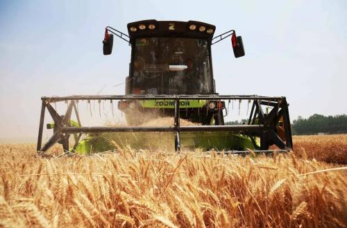 1543546095627834.jpg 農(nóng)機(jī)進(jìn)口報關(guān)清關(guān).jpg