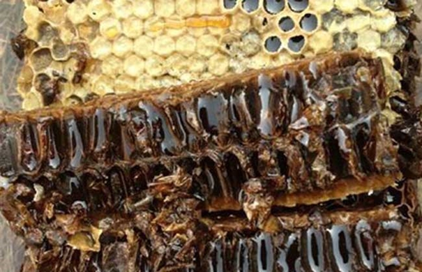 Get!蜂膠進口清關(guān)代理需要注意這2點 蜂膠進口清關(guān)代理