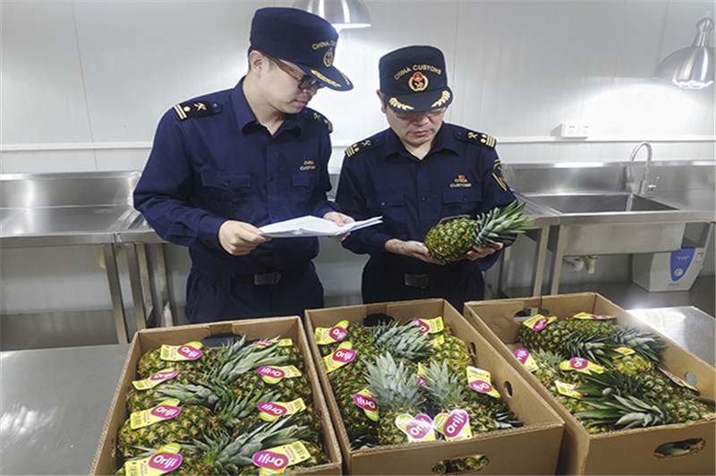 1660815821193250.jpg 進(jìn)口印度尼西亞鮮菠蘿報(bào)關(guān).jpg
