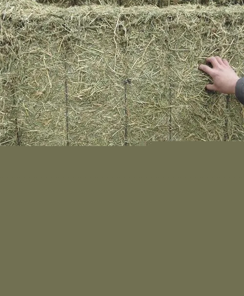 1652697458151839.jpg 苜蓿草進(jìn)口報關(guān)代理公司_副本.jpg