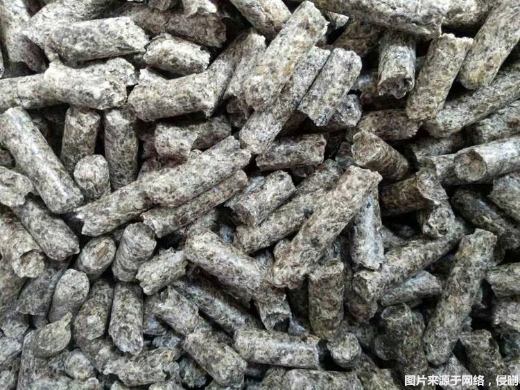 1678097107528828.jpg 俄羅斯進口甜菜粕顆粒報關(guān).jpg