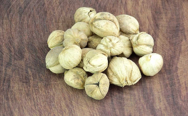 天津港進(jìn)口豆蔻清關(guān)一站式代理服務(wù) 豆蔻進(jìn)口報關(guān)_副本.jpg