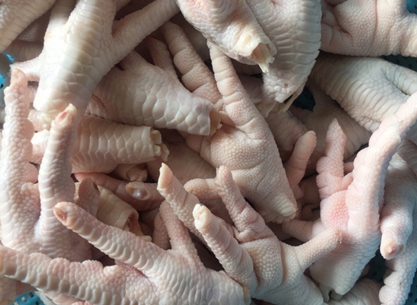 1628246717188439.jpg 上海進口巴西鳳爪清關公司_副本.jpg