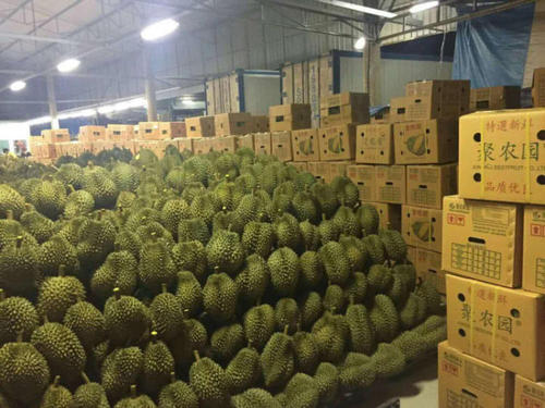 1570497384559496.jpg 榴蓮進口報關