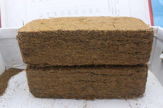 1599875052269069.jpg 椰糠進口清關